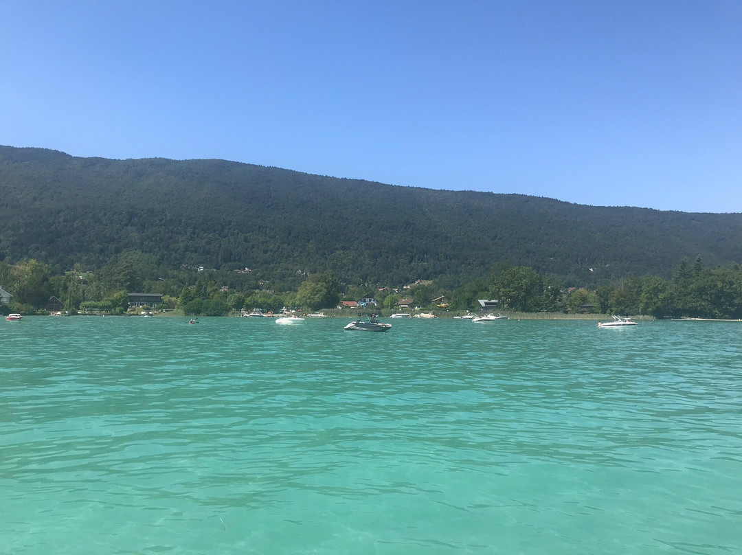 The Boat景点图片