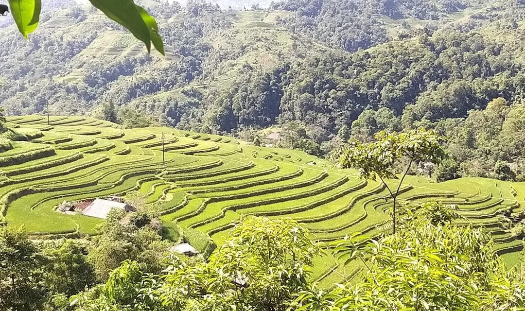 The Halong Travel景点图片