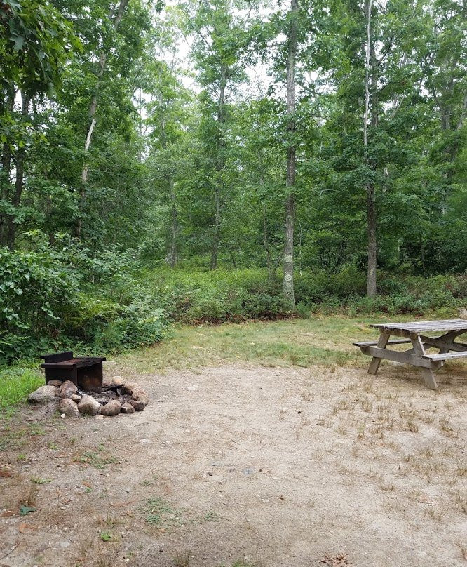 Shawme-Crowell State Forest景点图片