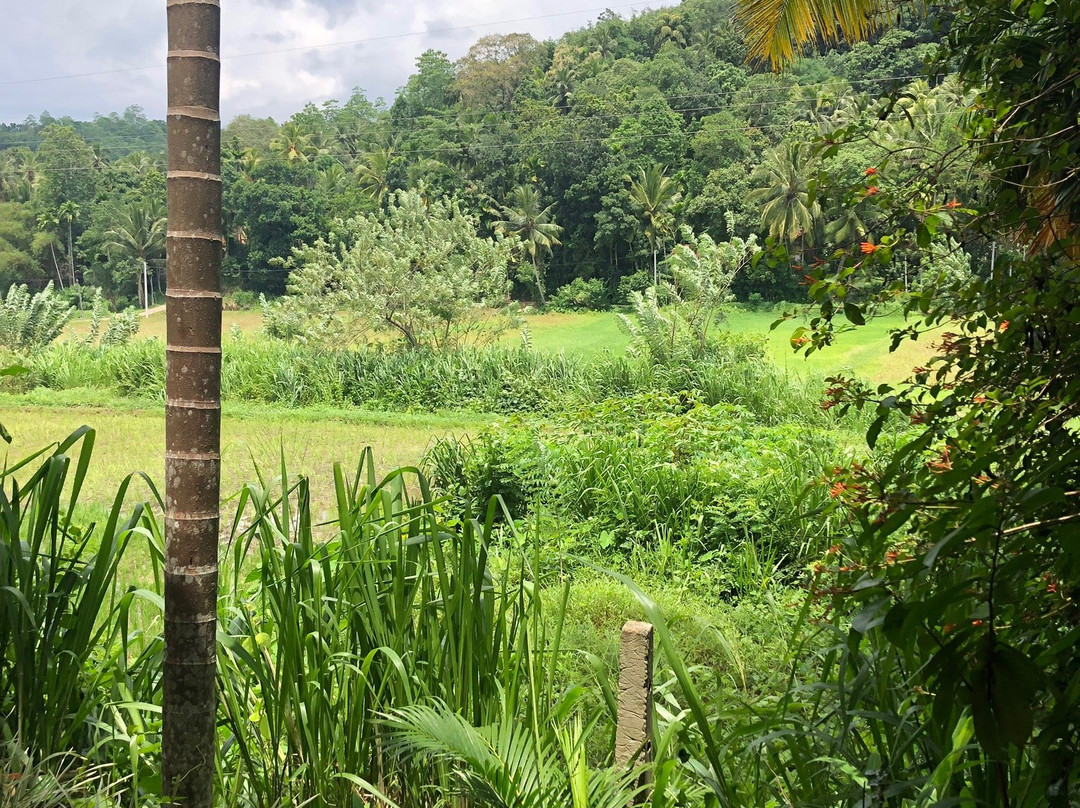 Green View Home Stay主图