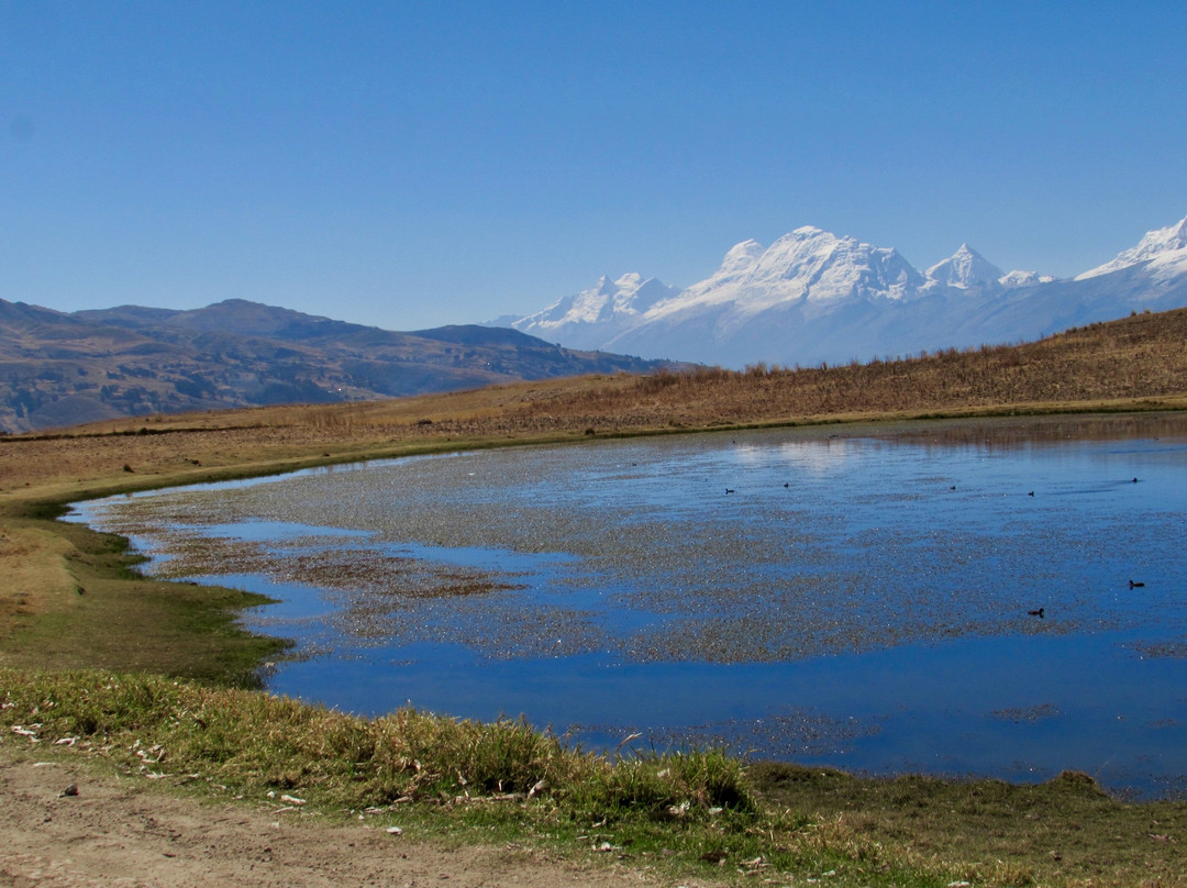 Laguna Wilcacocha-瓦拉斯必去景点