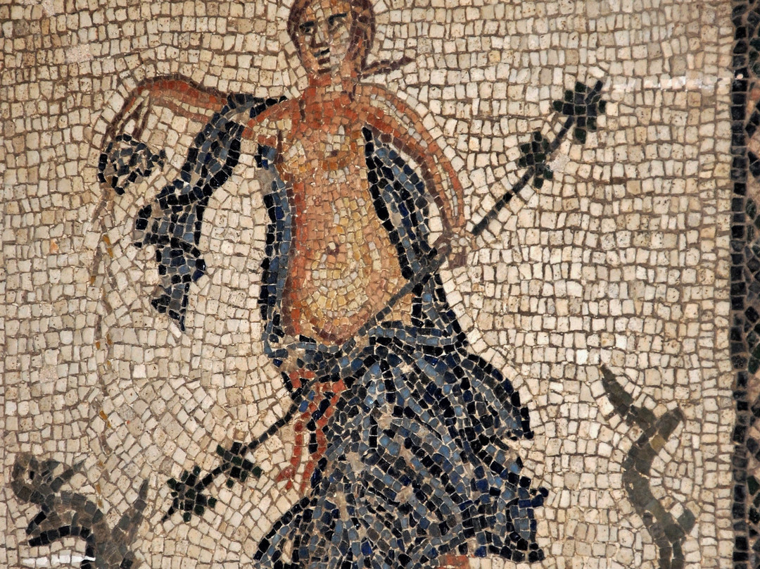 Museo Archeologico Nazionale di Sarsina景点图片