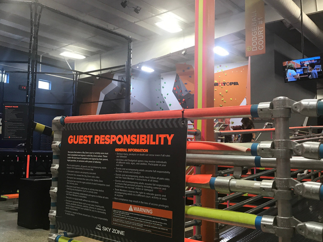 Sky Zone Trampoline Park-芒特普莱森特必去景点