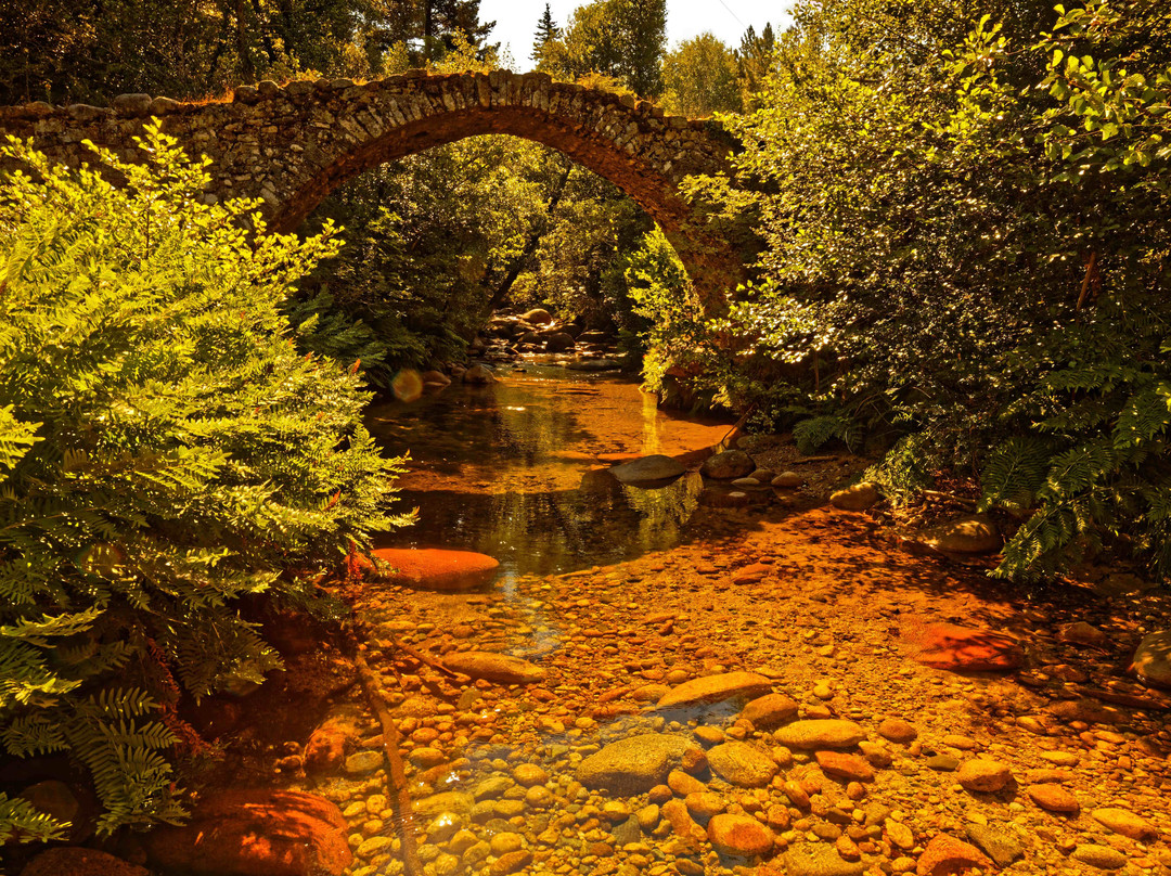 Pont génois de Zipitoli-Bastelica必去景点