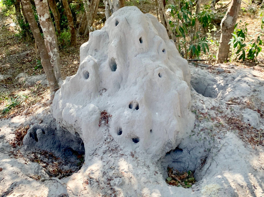 Kumana National Park-Ampara必去景点