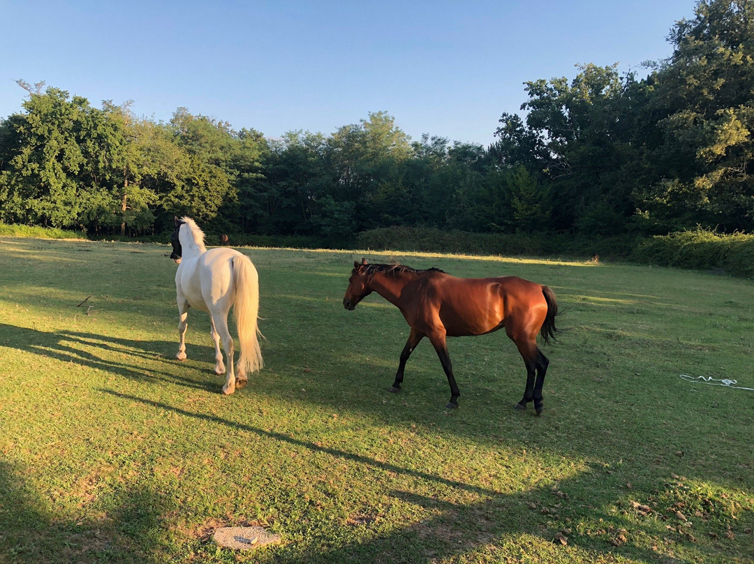 大葡萄园庄园酒店主图