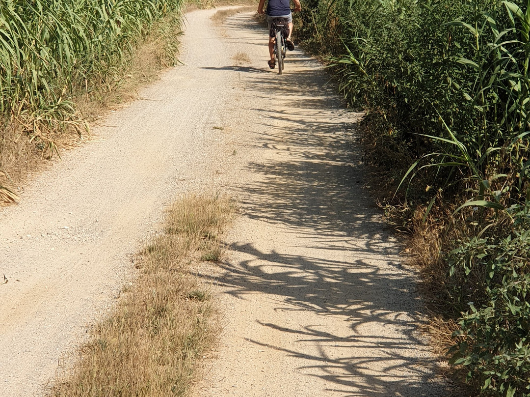 Fietsen in Girona景点图片