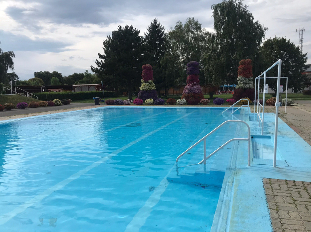 Flora Spa - Kapuvar