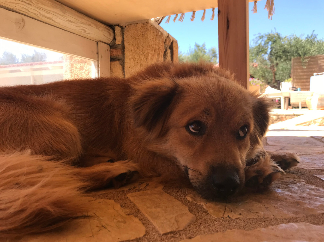 Agrikies Country Retreat主图