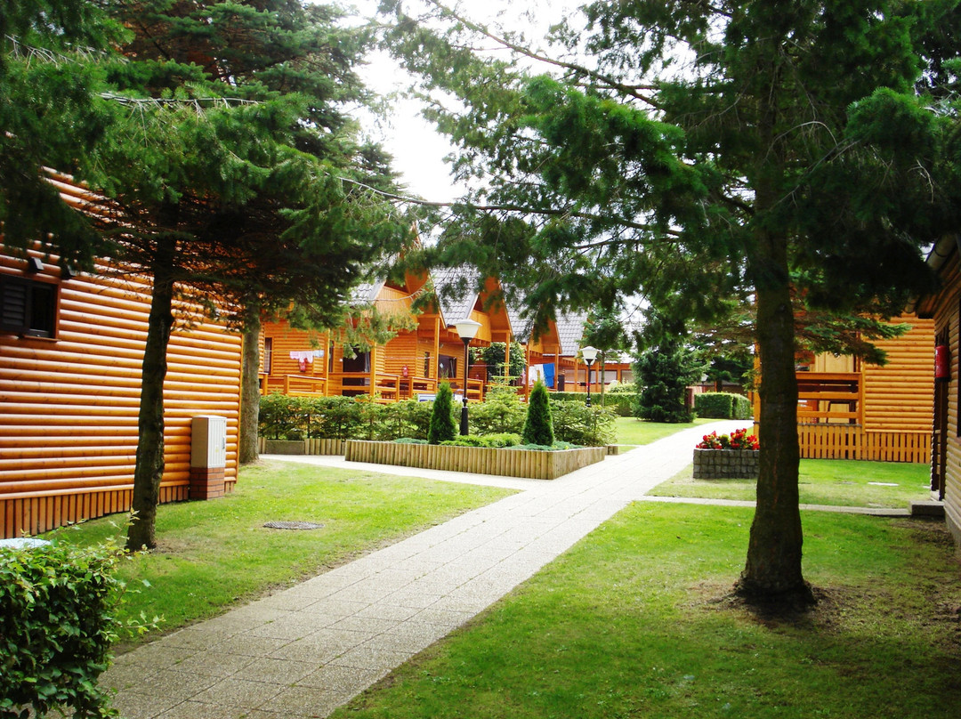 Bursztyn