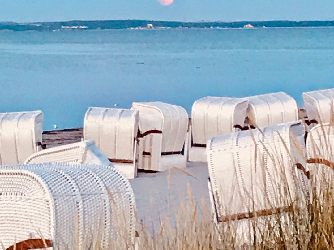 Aquamaris Strandresidenz Rugen主图