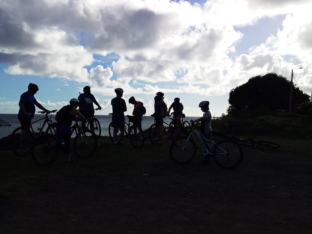 Storytellers Eco Cycle Tours-拉罗汤加必去景点