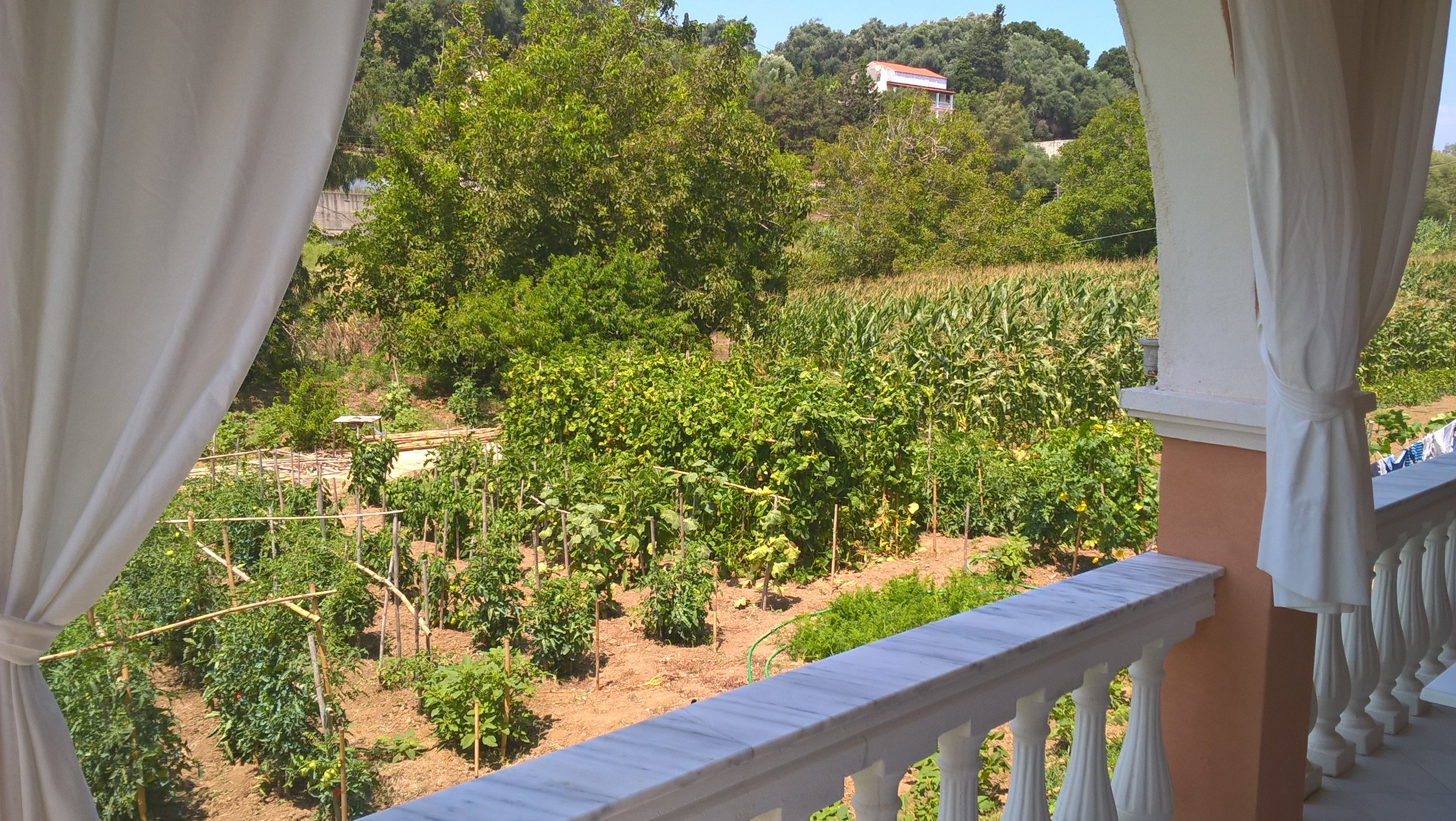 Angeliki-酒店景观