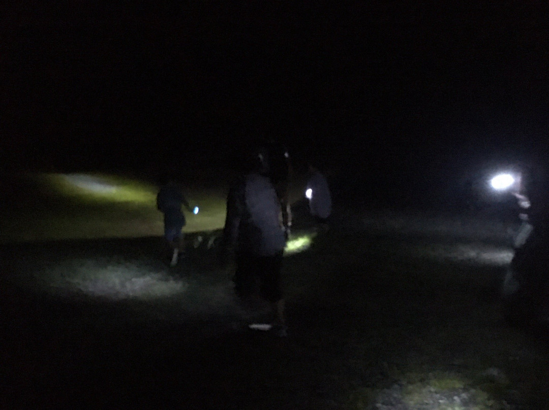 Resort Inn Larry主图