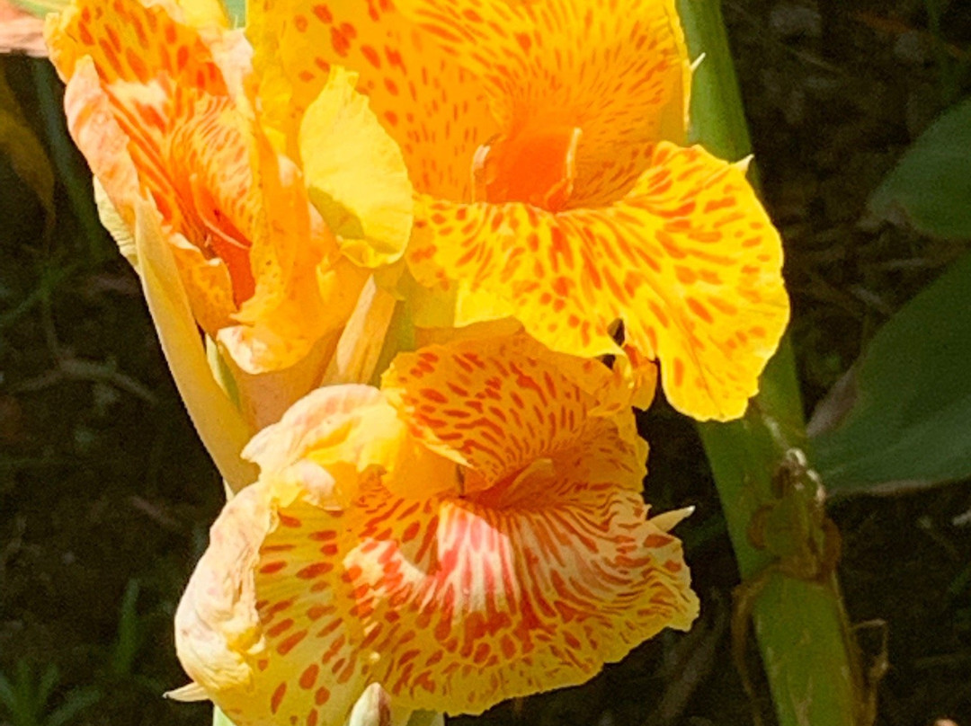 Mission San Luis Rey Retreat主图