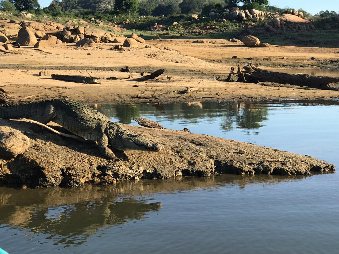 Rathnapriya Safari Guest Galoya主图