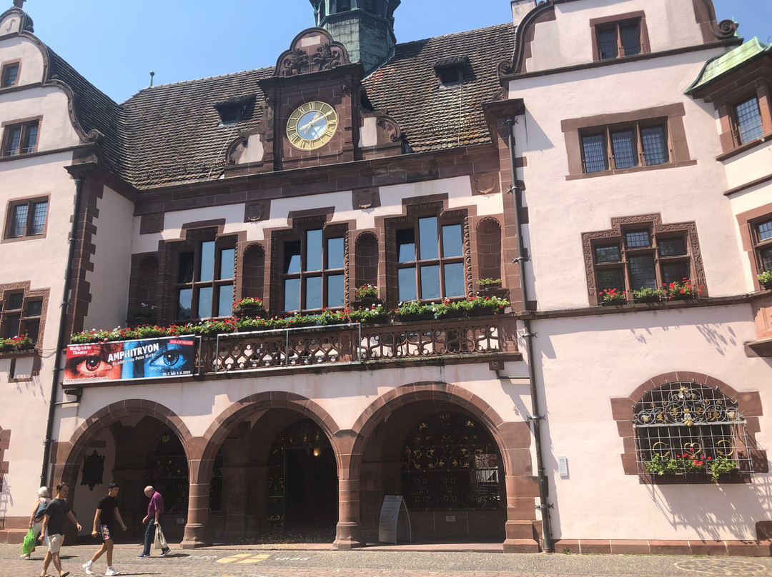 Free Tour Freiburg-佛莱堡必去景点