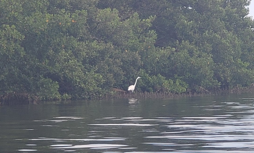 Mad Beach Paddlesports-特雷热岛必去景点