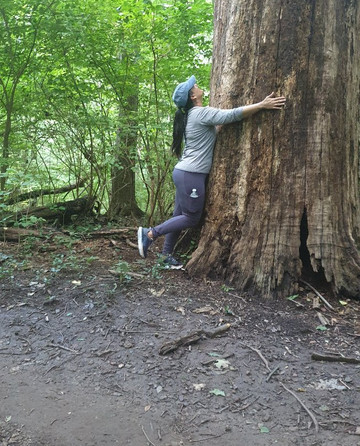 Edwin and Percy Warner Parks-纳什维尔必去景点