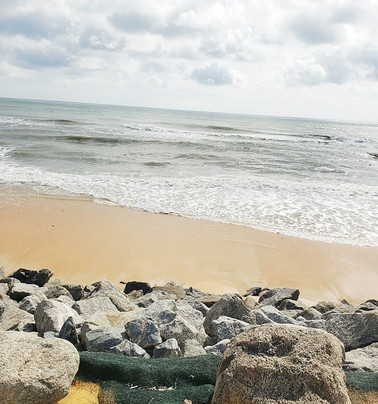 Marineland Marina-圣奥古斯丁必去景点