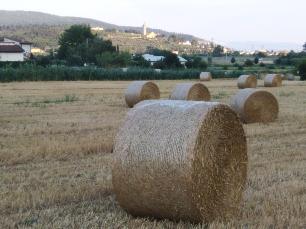 Parco Agricolo di Travalle景点图片