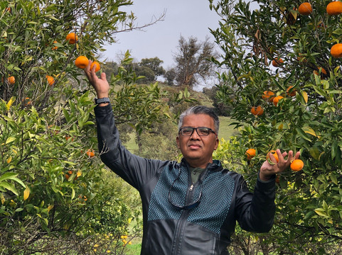 Ziyarah Tours-珀斯必去景点