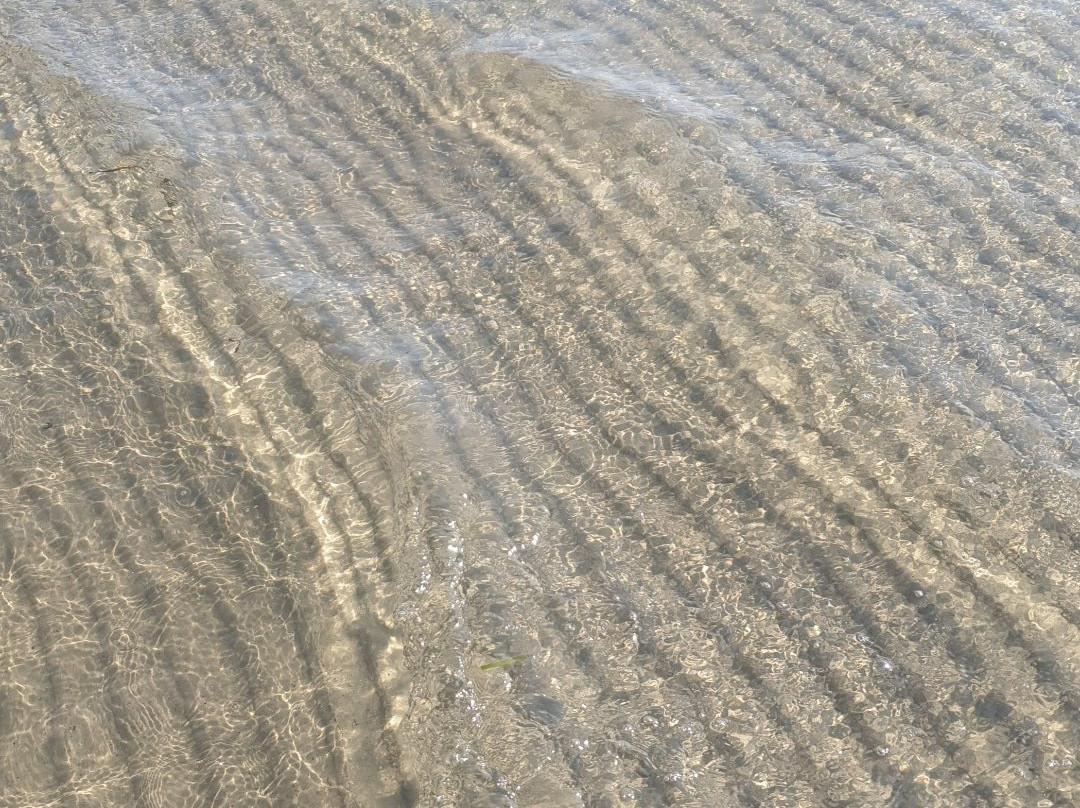 Puntone Beach-斯卡尔利诺必去景点
