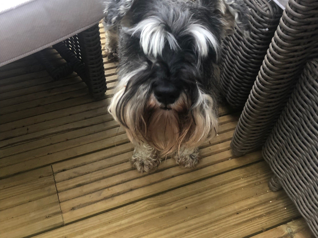 Bartley酒店住宿-Kingswood Cottage