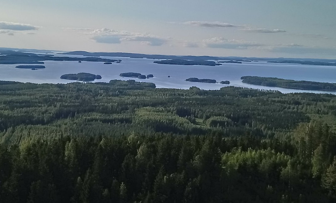 Räsävaara Observation tower-Koli National Park必去景点