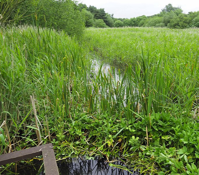 Messingham Sand Quarry-Messingham必去景点