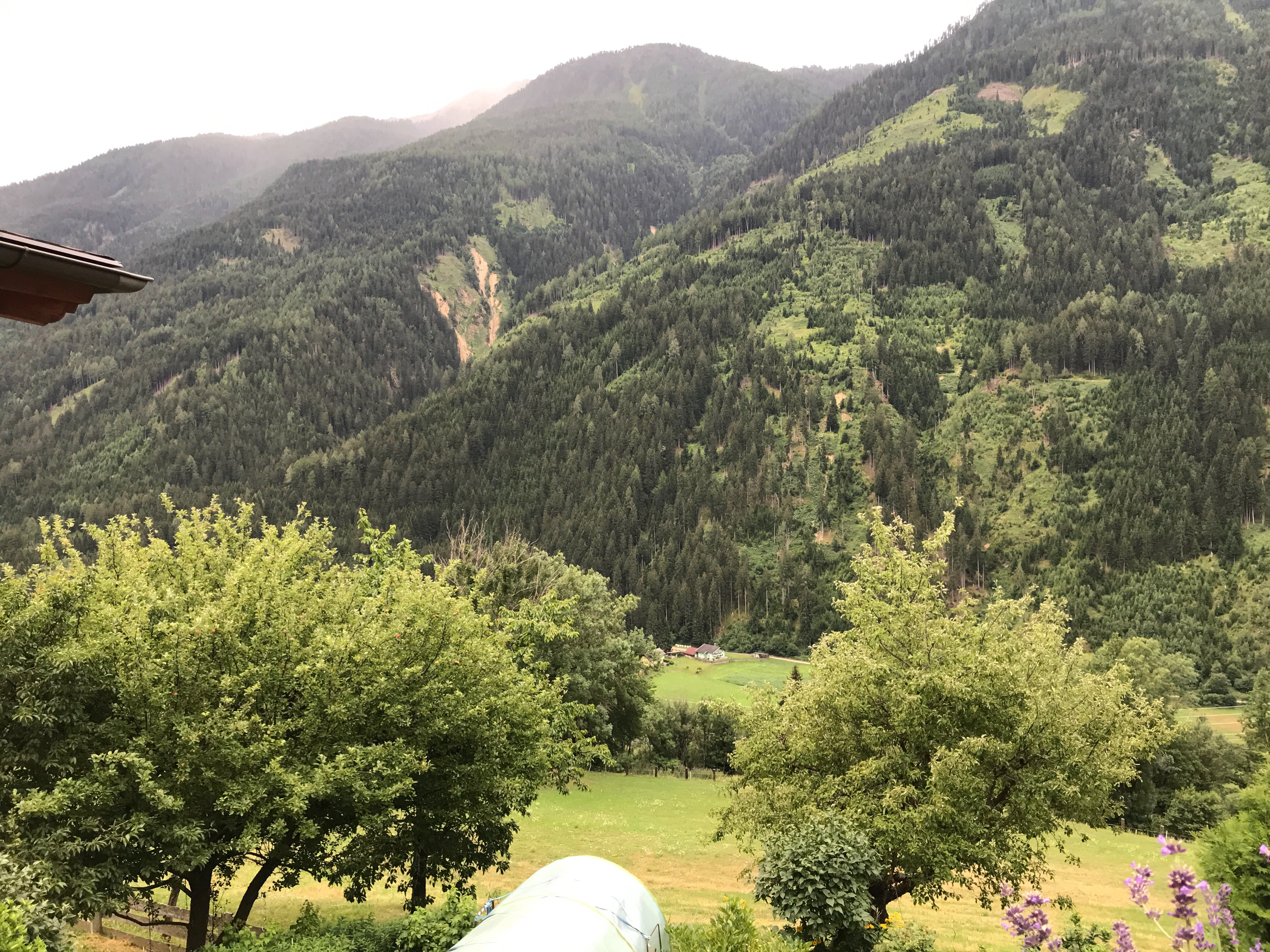 Pension Pichlerhof-酒店景观