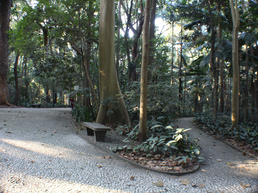 Tenente Siqueira Campos Park (Trianon)景点图片
