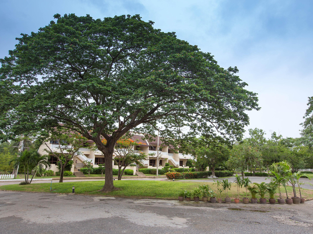 查安欧亚兰宫酒店主图