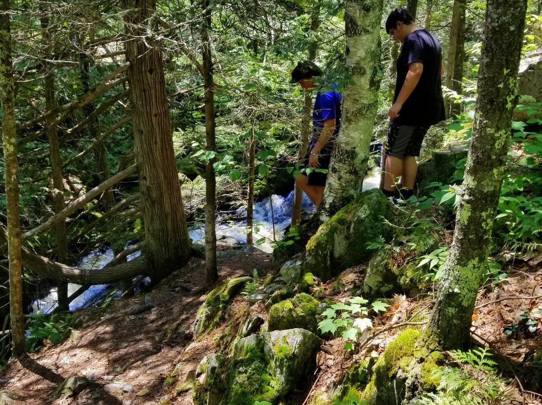 Smalley Falls-Pembine必去景点