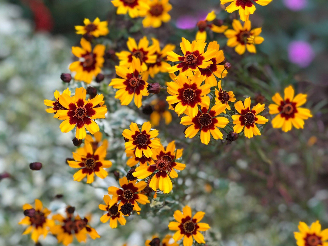 High Court View Hotel主图