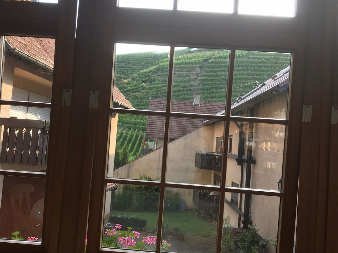 阿尔滕贝格酒店主图