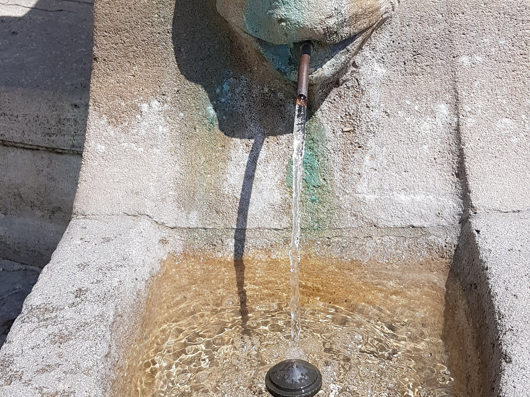Saint Mang Fountain-肯普滕必去景点