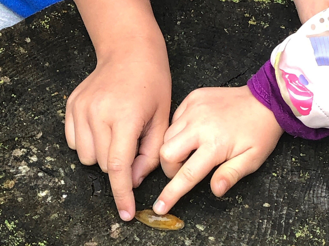 Dalem Lake Provincial Park-Boularderie必去景点