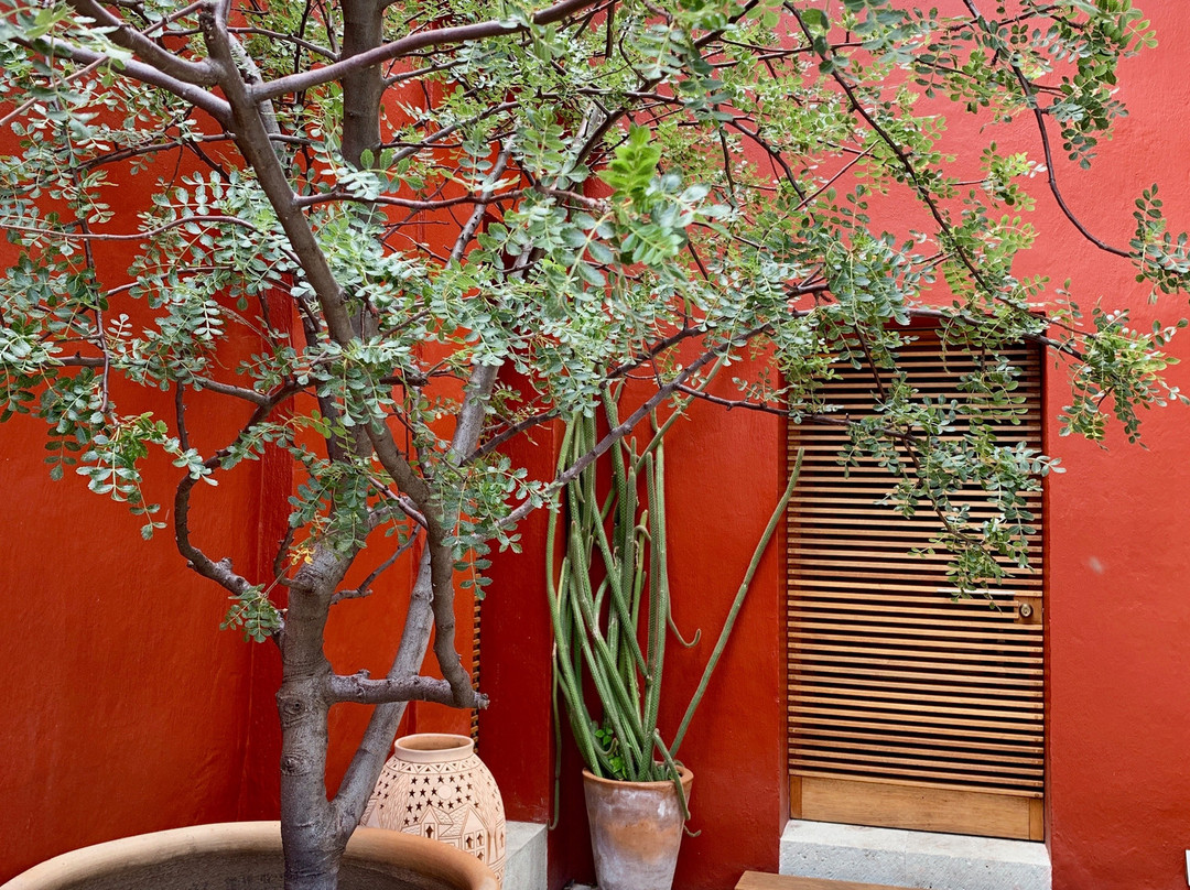 Hotel La Casona De Tita主图