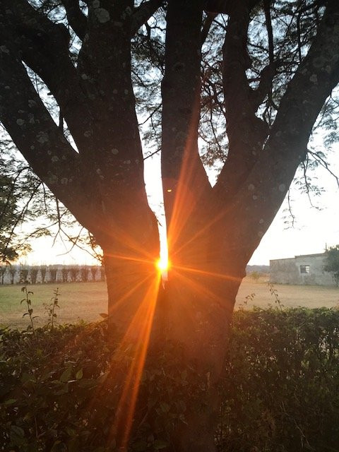 Loza Guesthouse主图