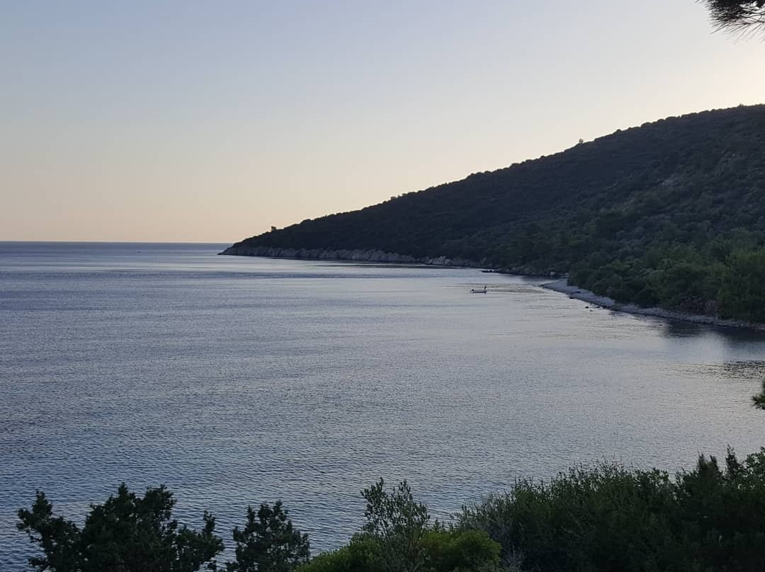 Ege Pansiyon & Restaurant主图