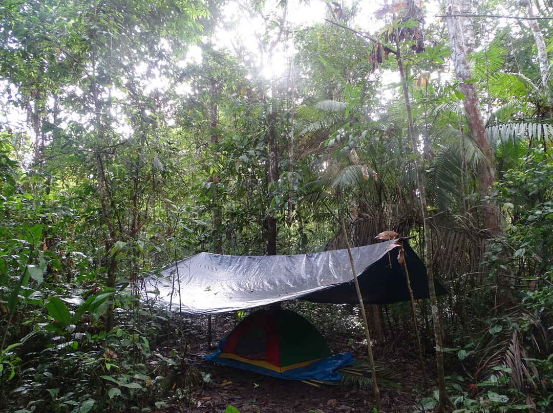 Amazonian Trails景点图片