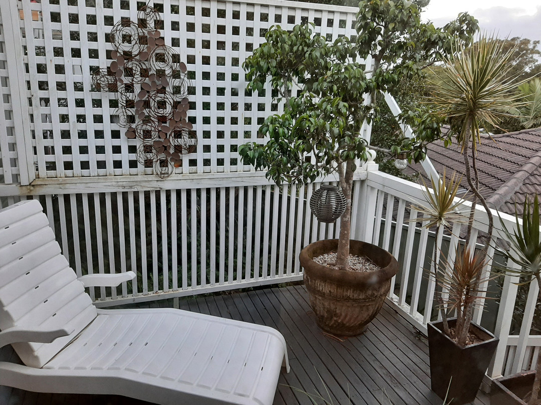 卡萨布兰卡魔法小屋