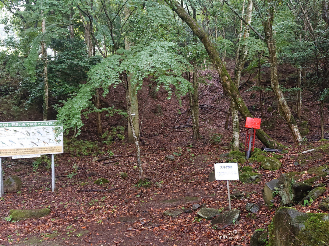 The Site of Tsunomure Castle景点图片