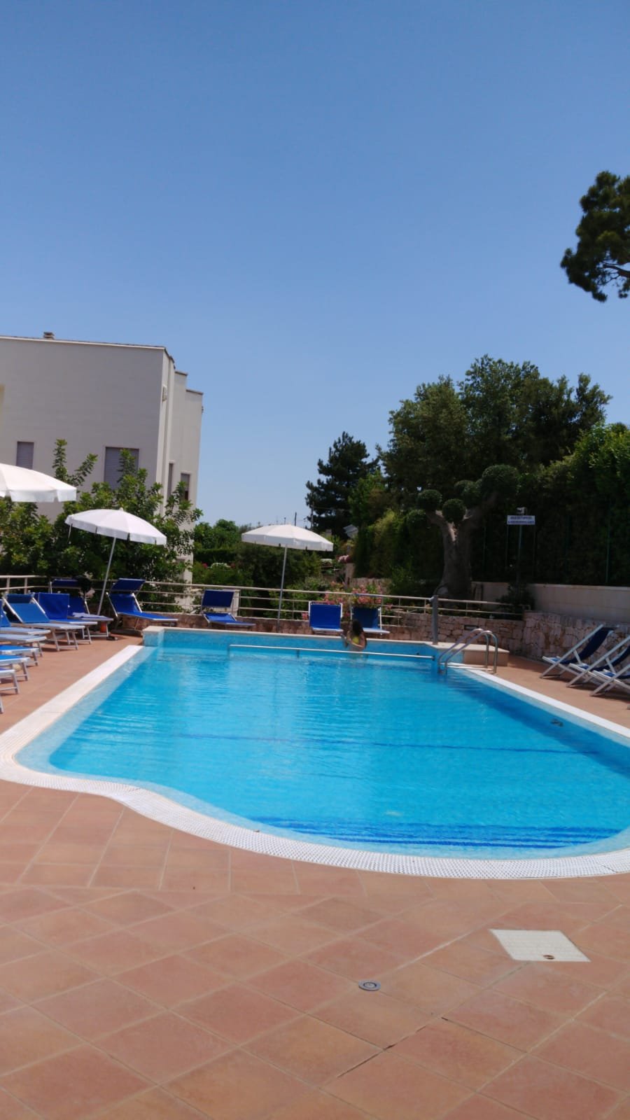 Park Hotel La Grave-泳池
