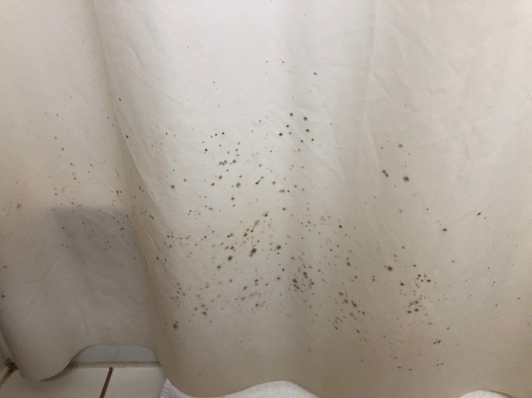 Baymont by Wyndham Helena主图