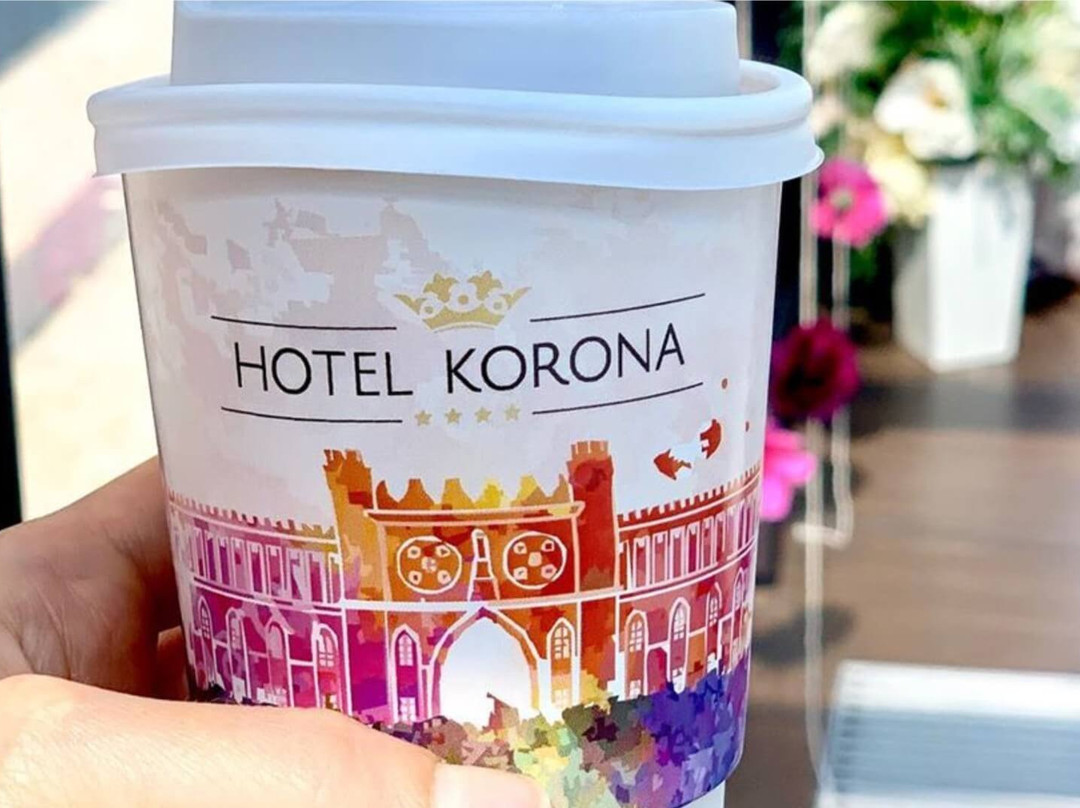 Hotel Korona Spa & Wellness主图