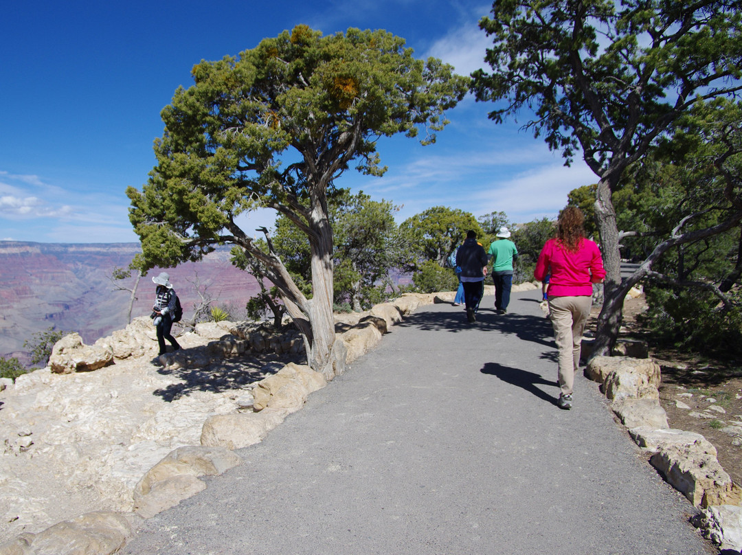 大峡谷智选假日套房酒店主图