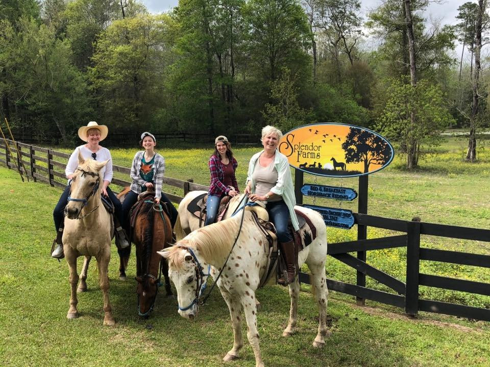 Splendor Farms-Bush必去景点