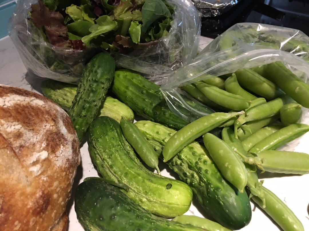 Visit McMinnville-麦克明维尔必去景点